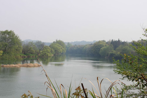 Rape Flowers in Wuyuan