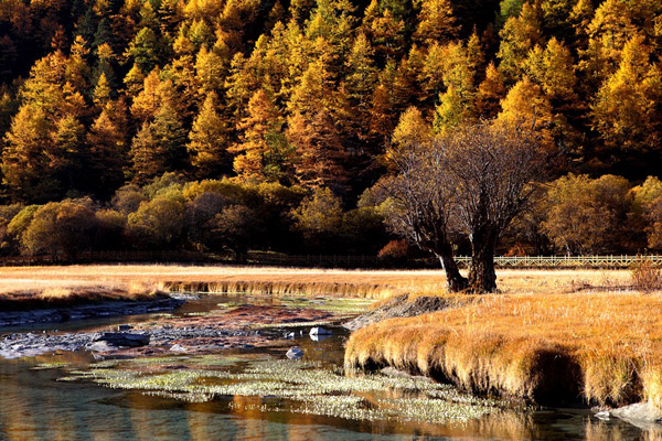 Picturesque scenery of Daocheng