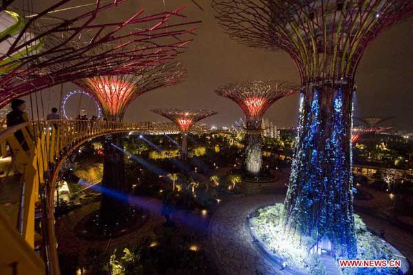 Light and sound show brightens Supertrees Grove in Singapore