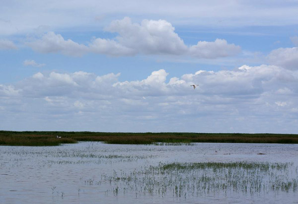 Picturesque scene of Ulansuhai Nur in Bayannur, N China