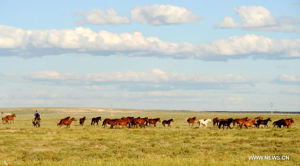 Grassland scenery in Inner Mongolia