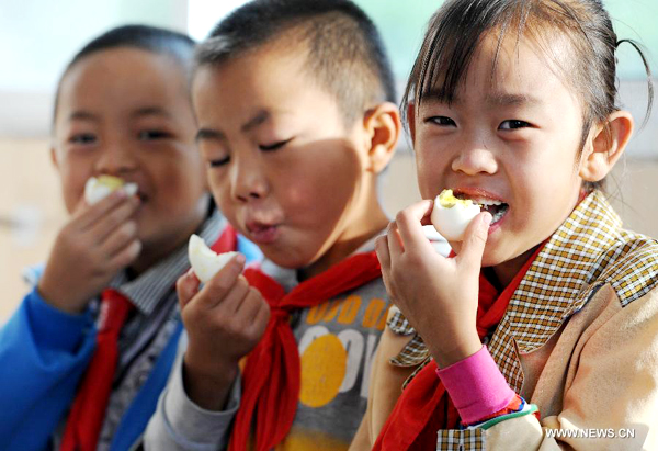 'Egg and milk project' developed in NW China