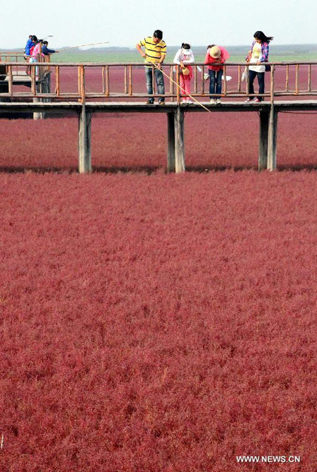 Tourists visit Red Beach in NE China