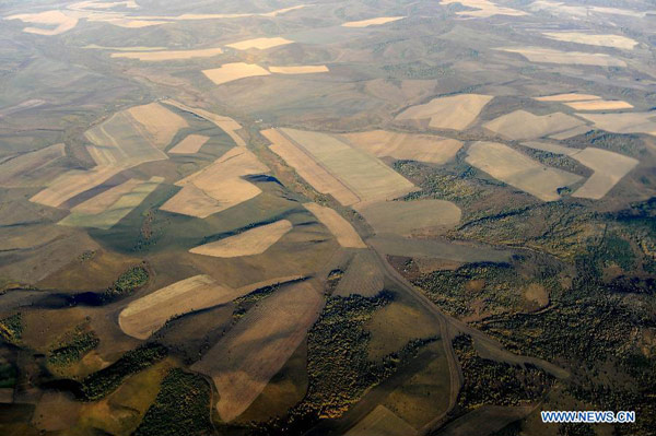 Wonderful scenery of pasture in Hulun Buir