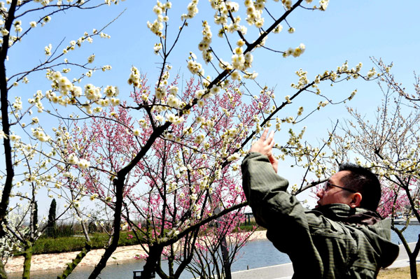 Road less traveled: Chenshan Botanical Garden