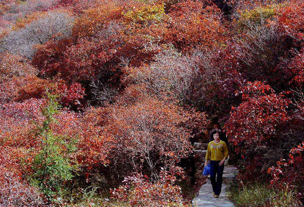 Autumn view on Changshou Mountain in China's Henan