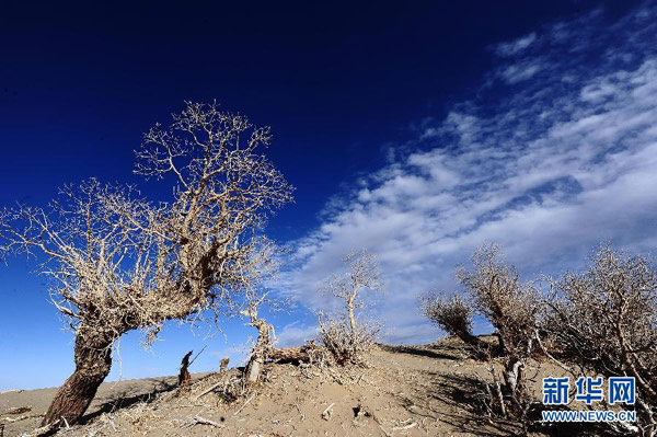 Late autumn scenes in Qinghai