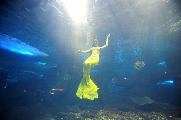 A 24-year-old's aquarium fairy tale
