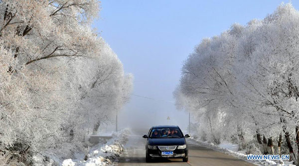 Beautiful rime scenery in NE China's Heilongjiang