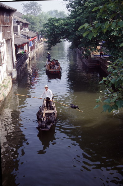 Water alley