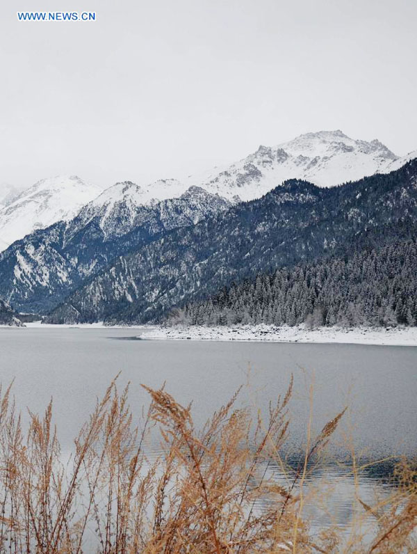 Scenery of Tianchi Scenic Zone in Tianshan Mountains, NW China