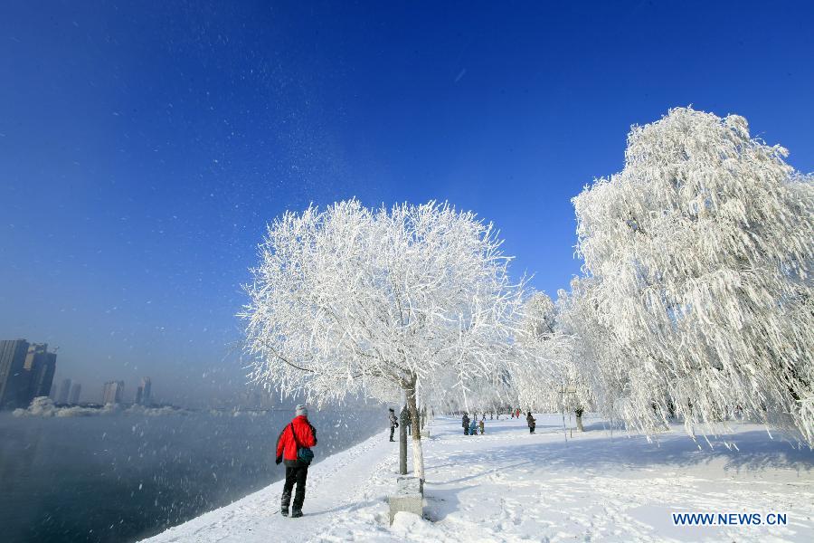 Scenery of rime in NE China's Jilin city