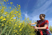 Well explored charm of Lijiang