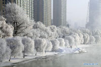 Newly-married couple enjoy rime along Songhua River in NE China