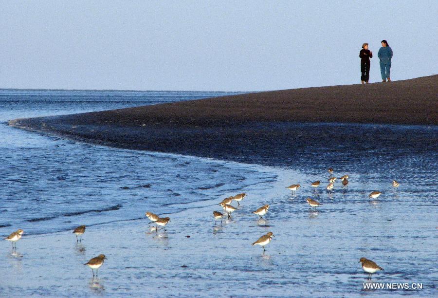 Scenery of birds preservation in Argentina