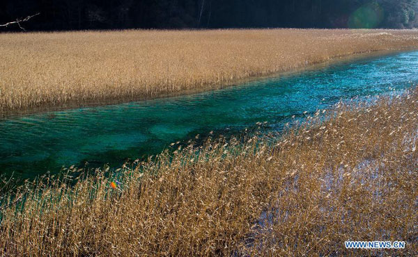 Unparalleled scenery of Jiuzhaigou Valley in SW China