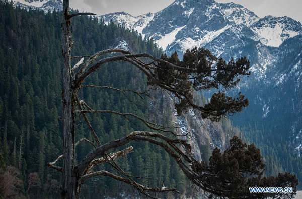 Unparalleled scenery of Jiuzhaigou Valley in SW China