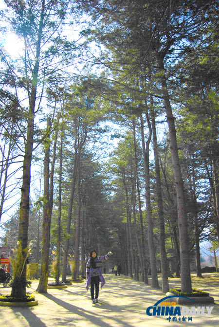 Trip to fairyland, Nami Island