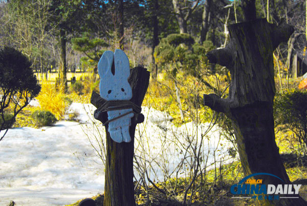 Trip to fairyland, Nami Island