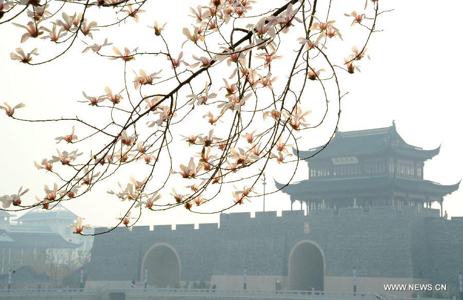 Flowers blossom around China