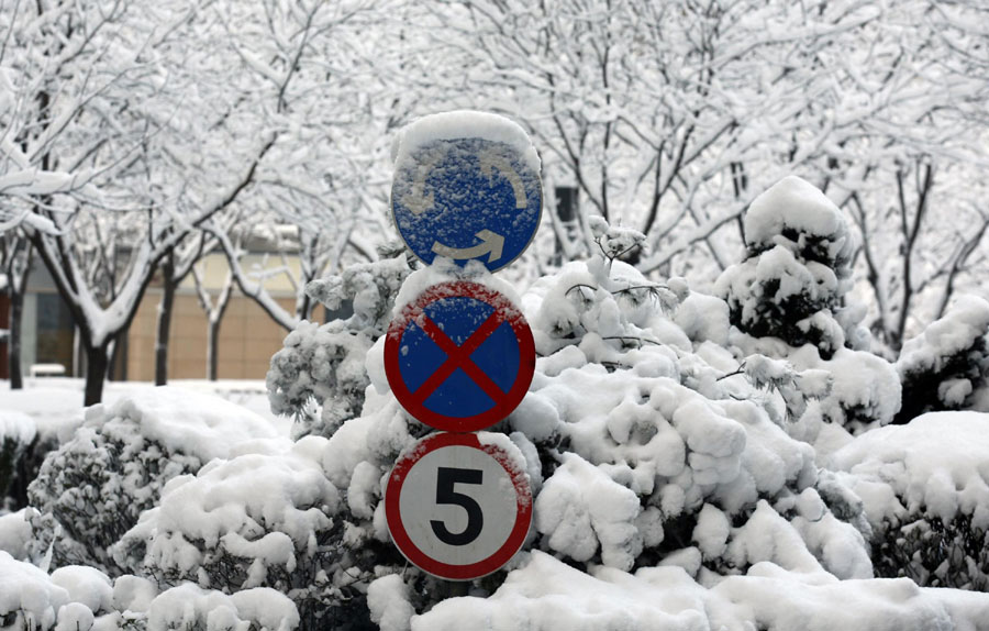 Spring snow blankets Beijing