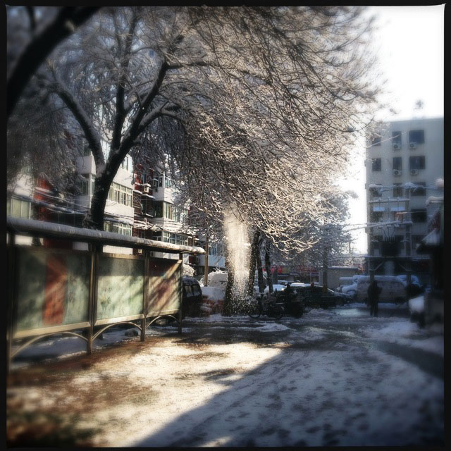 Spring snow blankets Beijing