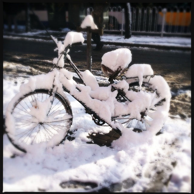 Spring snow blankets Beijing