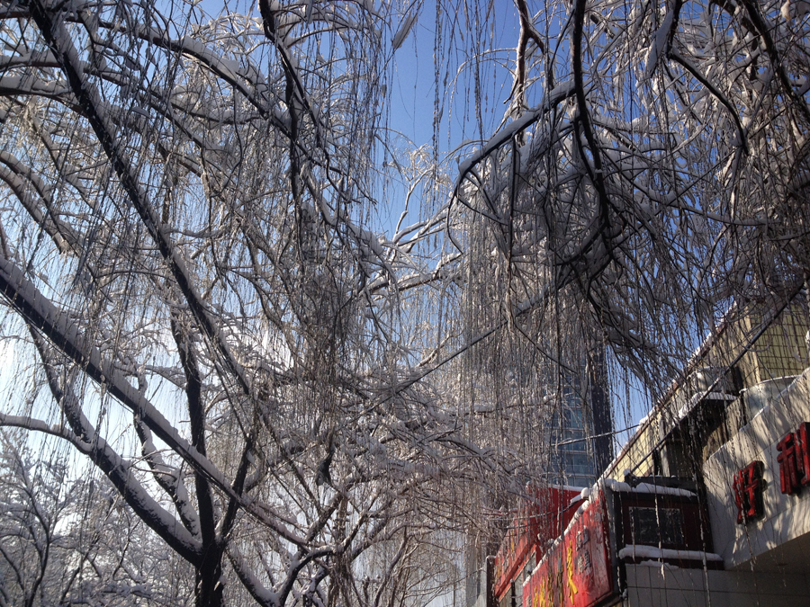 Spring snow blankets Beijing