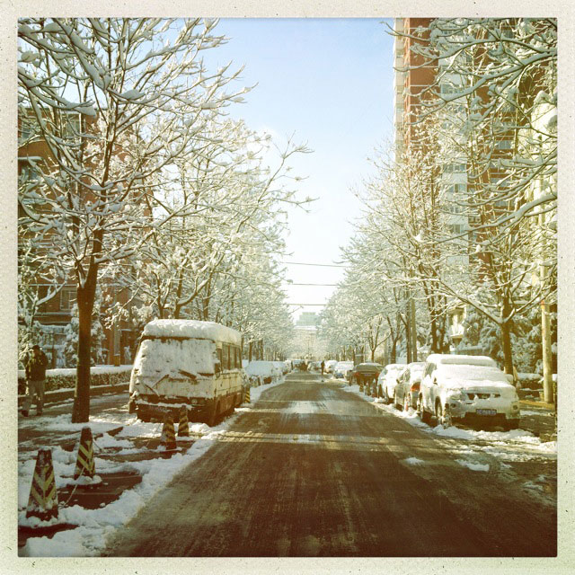 Spring snow blankets Beijing