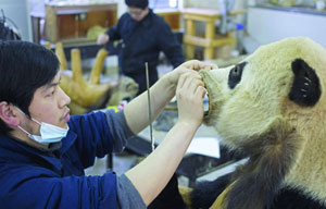 China-Russia tourism co-op progresses