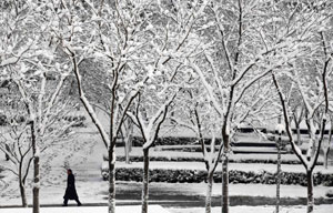 Popular attractions draped in snow