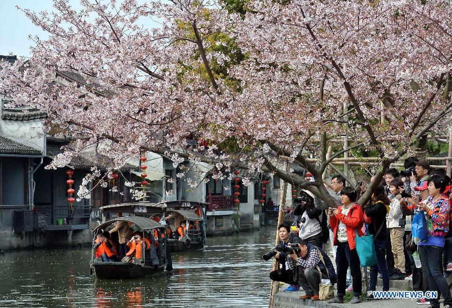 Scenery of Xitang Township in China's Zhejiang