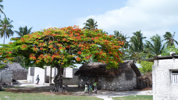 Interlude in Zanzibar