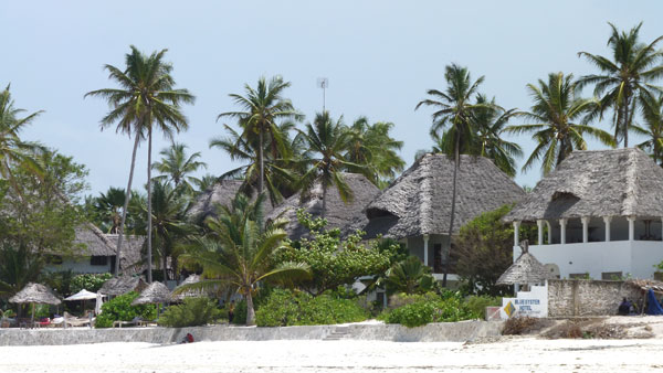 Interlude in Zanzibar