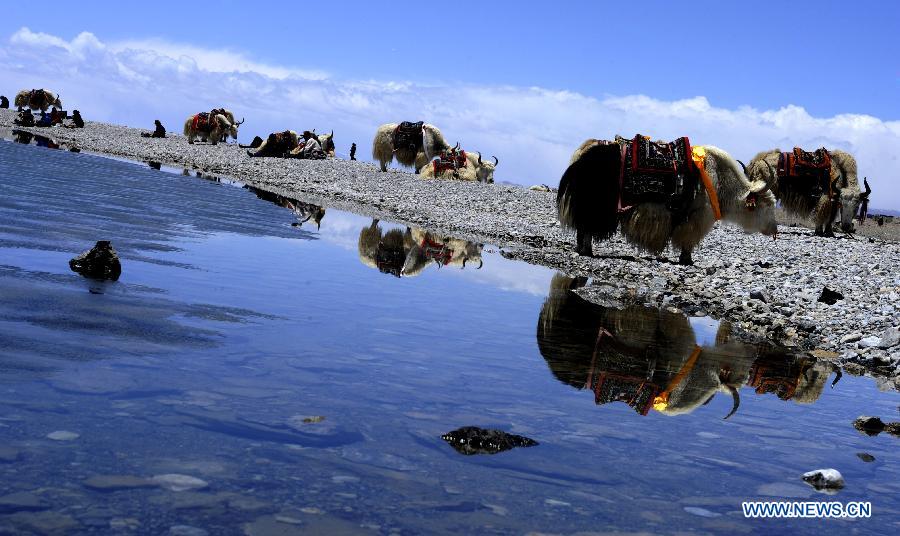 Visual impressions of Tibet