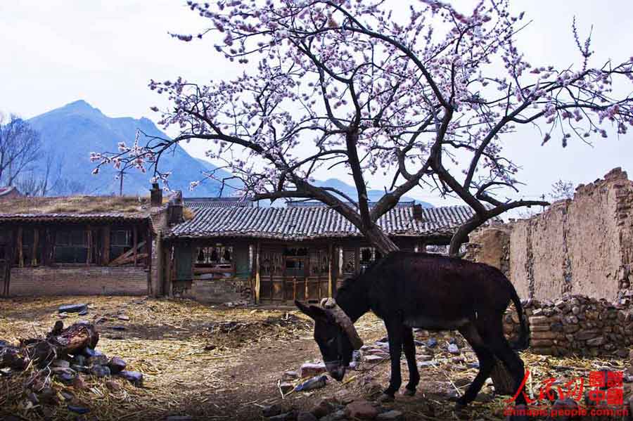 Shoukou fort: Xinghua village by the Great Wall