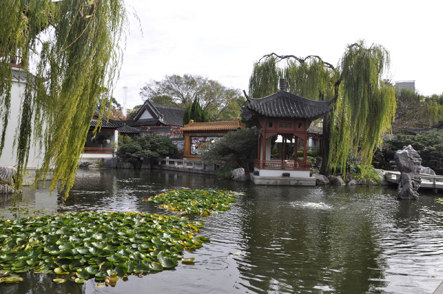 Chinese garden offers green paradise in Sydney