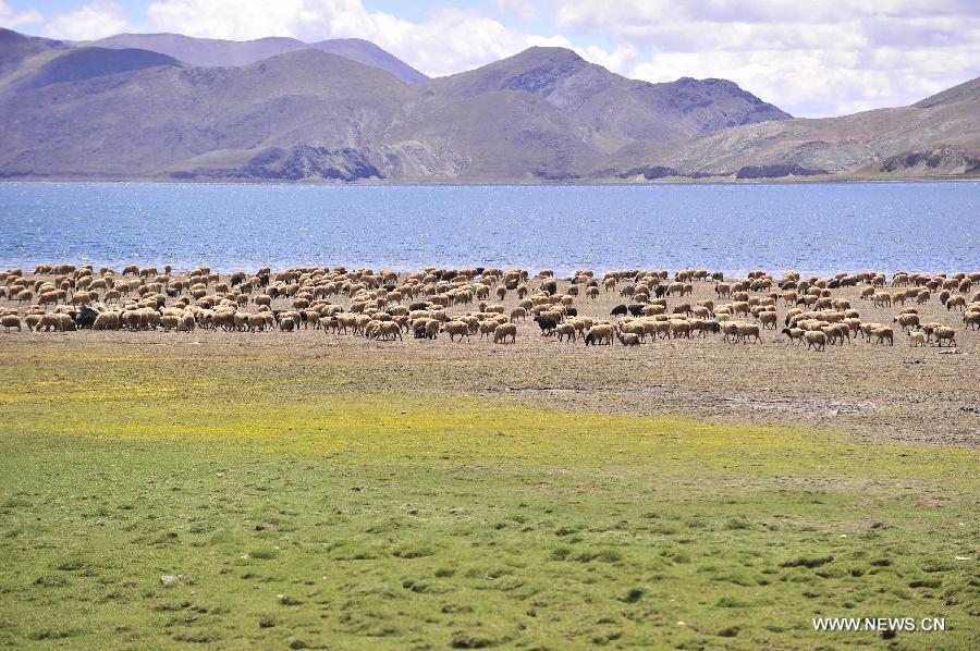 Yamzhog Yumco Lake in Tibet