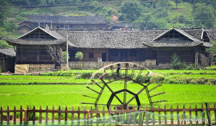 Scenery of stilted houses of Tujia ethnic group