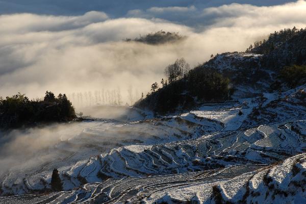 Terraced fields after snowfall