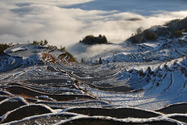 Terraced fields after snowfall