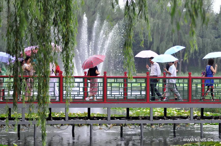 Lotus season in China