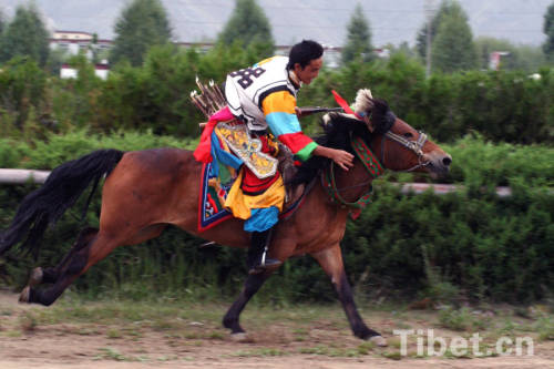 Horse-racing of Shoton Festival in Tibet