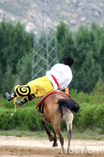 Horse-racing of Shoton Festival in Tibet