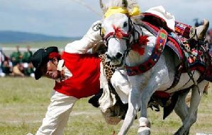 Yogurt festival marked in Lhasa