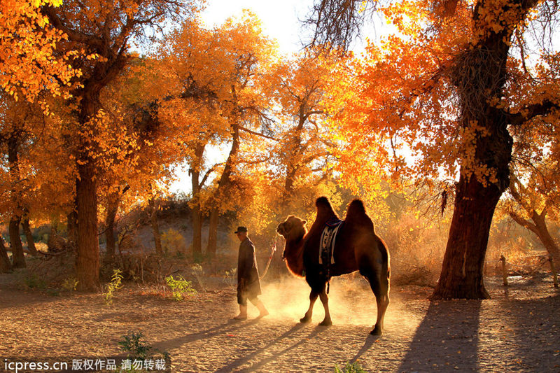 Beautiful sights to be explored in Northwest China