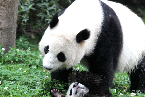 At the heart of China