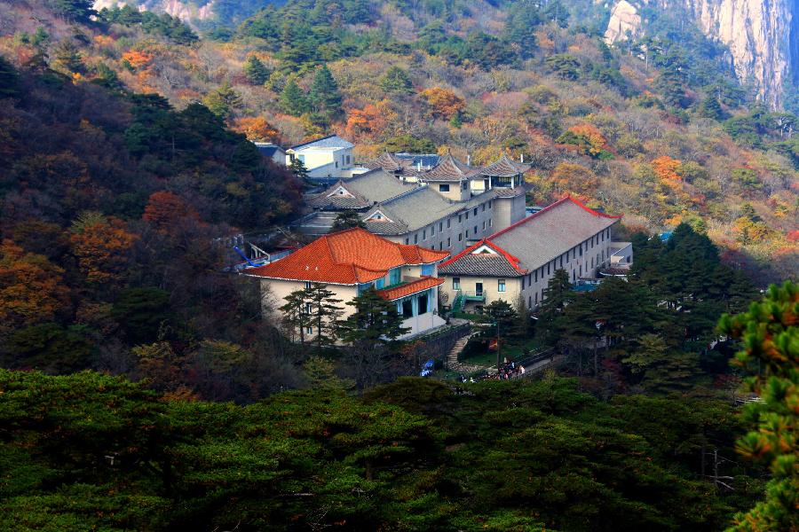 Red autumnal leaves at Huangshan