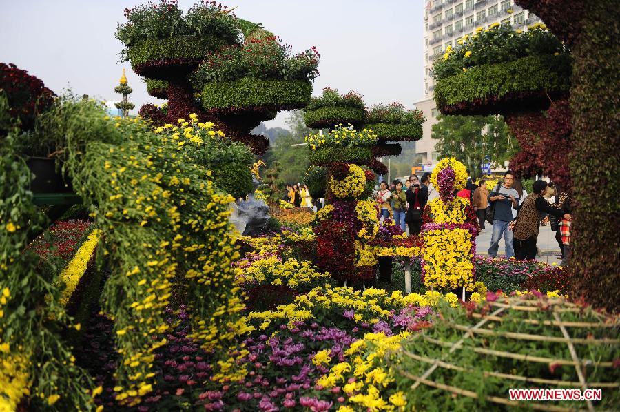 Wuhan Chrysanthemum Exhibition attracts vistors