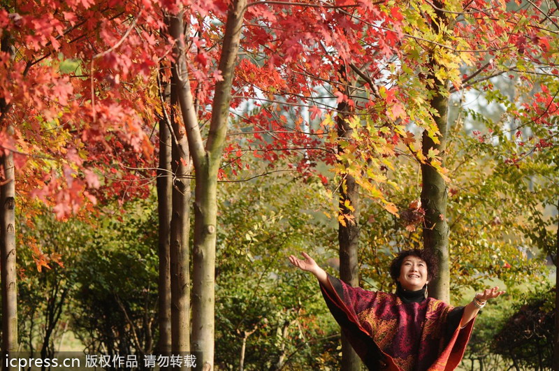 Autumn colors around China